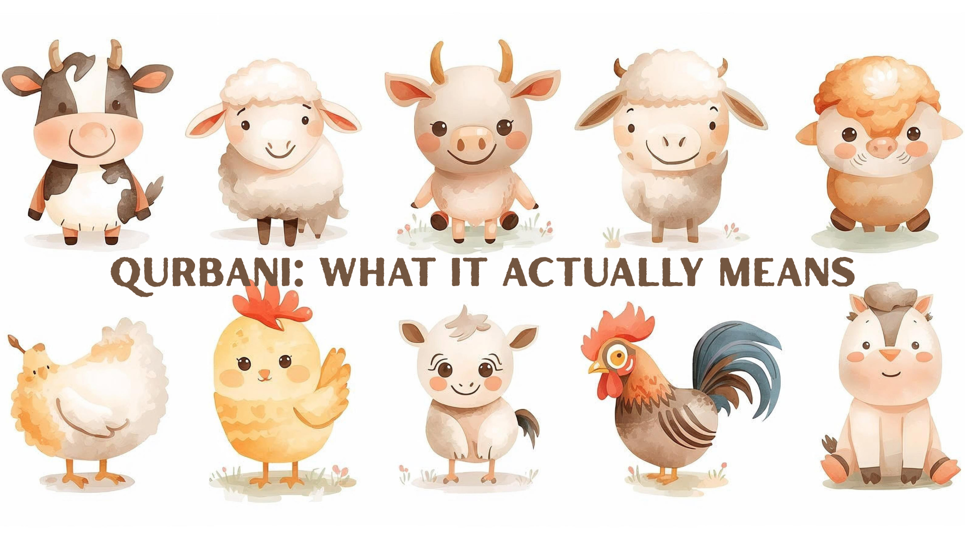 Qurbani: What It Actually Means and What the Rules Are